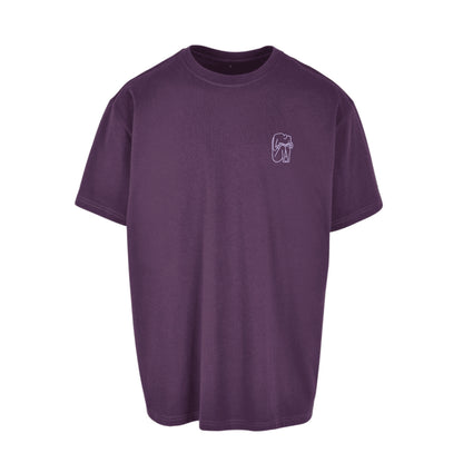 i'VE GOT BOOKS shirt