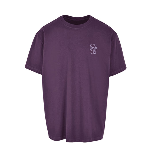 i'VE GOT BOOKS shirt
